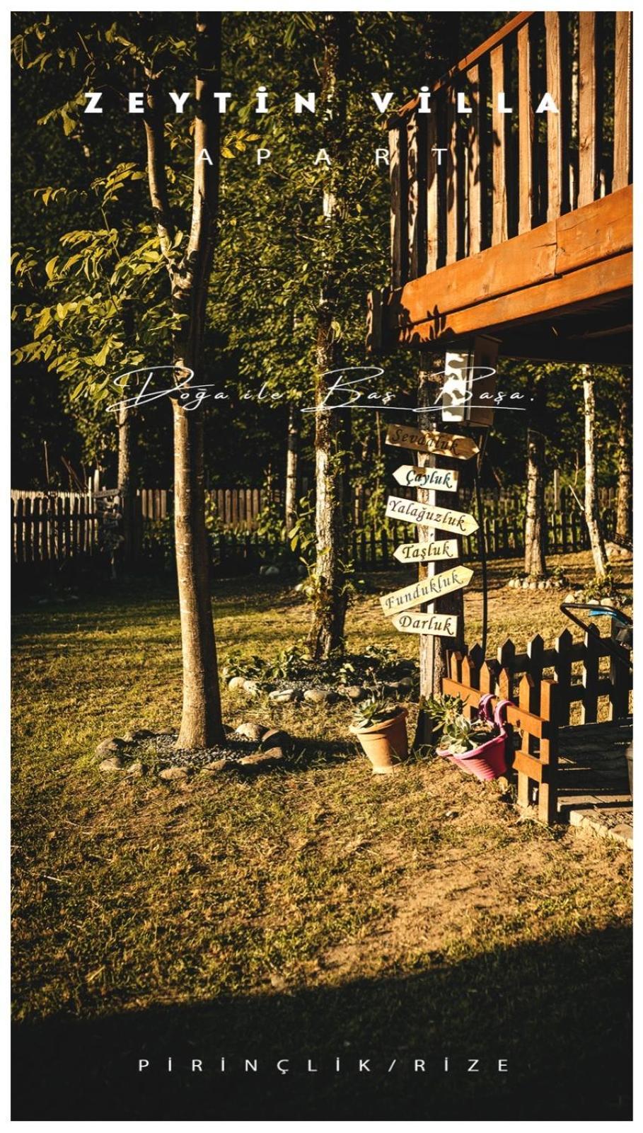 zeytin apart Ardeşen Buitenkant foto